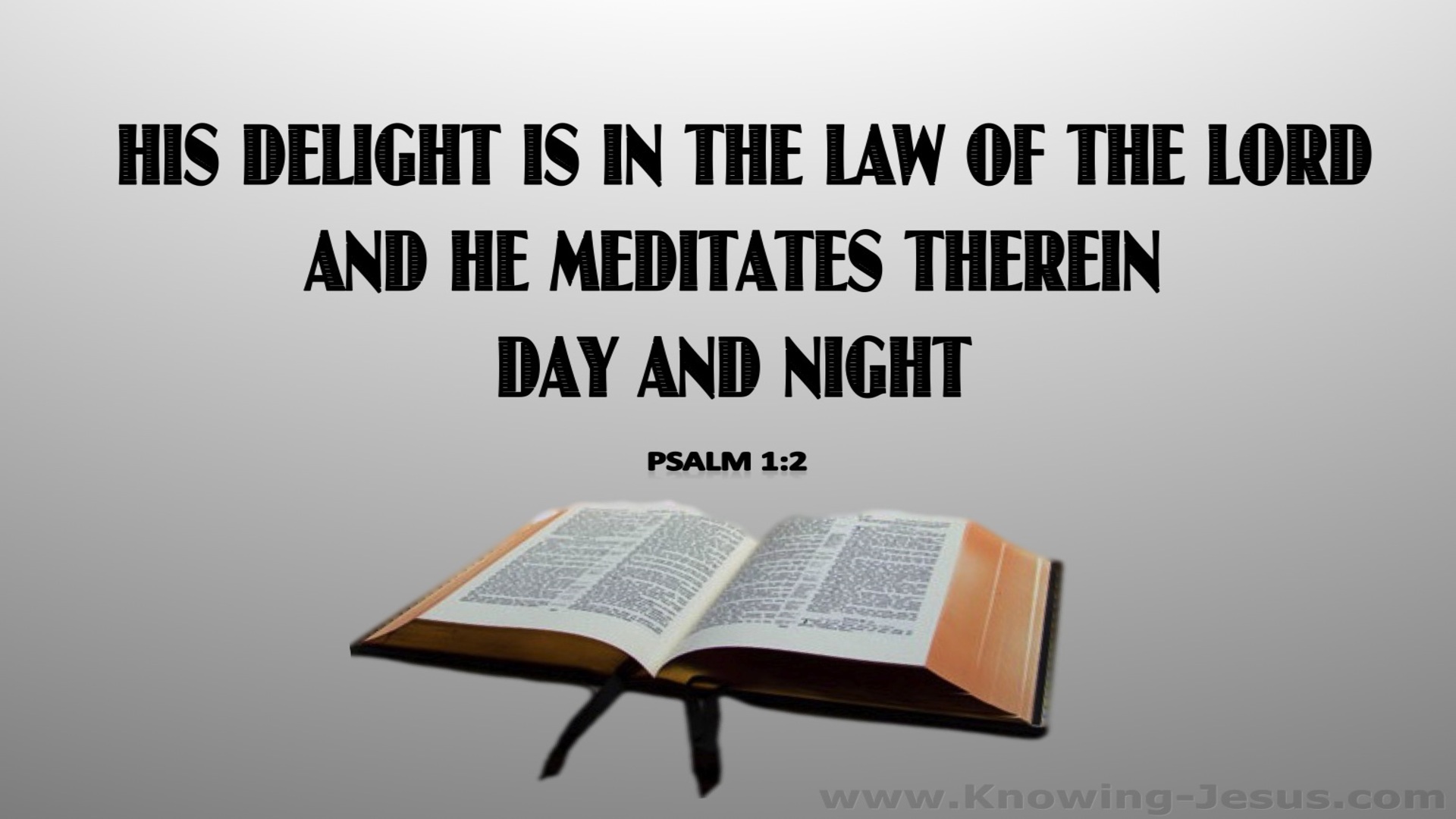 Psalm 1:2 He Delights In The Law Of The Lord (gray)